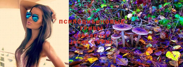 дурь Белокуриха