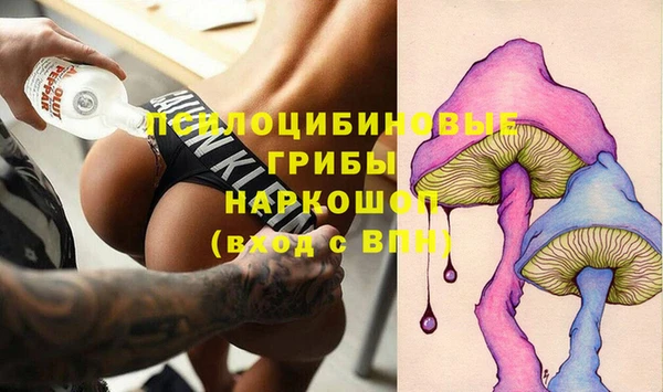 дурь Белокуриха